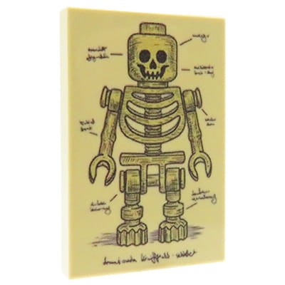 Custom LEGO ilustracja medyczna  przedstawia szkielet LEGO® w stylu vintage - widok z przodu - customowy nadruk UV  od Extra Extra Bricks na beżowej płytce LEGO 2x3